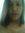 Amor Filia