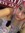 Rocio | 4 comments