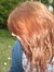 Tansy