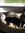 Laurie