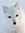 Fox Kern (samuraifox)
