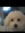 member photo member photo