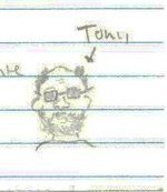 Mrnotarides notarides