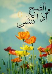 Ahmed