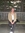 Pauline Byrne | 26 comments