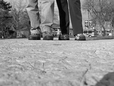 Don Thoms