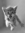 Maricruz