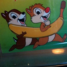 Boxwhatbox