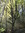 Suus | 2 comments
