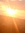 Destinybloom | 1 comments