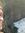Lianne