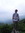 Matthew Collins (mdcollins) | 6 comments