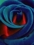 AliceofX