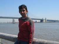 Anil