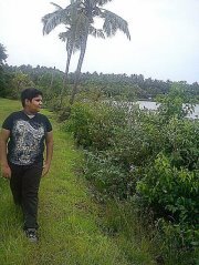 Aviram