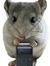 Chris Chinchilla
