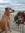 Heather (watsonridgeback) | 24 comments
