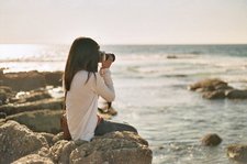 زهرة اللوتس