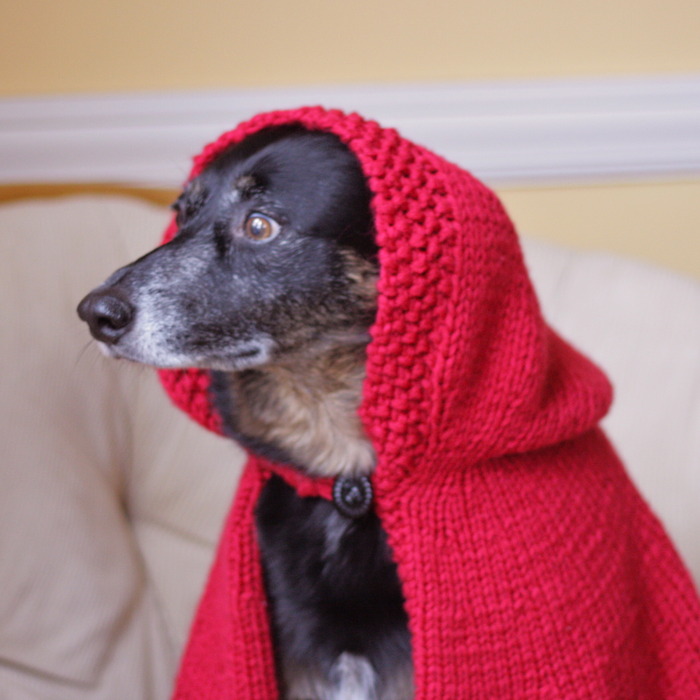 Goodreads profile picture for @dogged