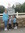 Felicia Knowles | 6 comments