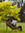 Kim_bab | 5 comments