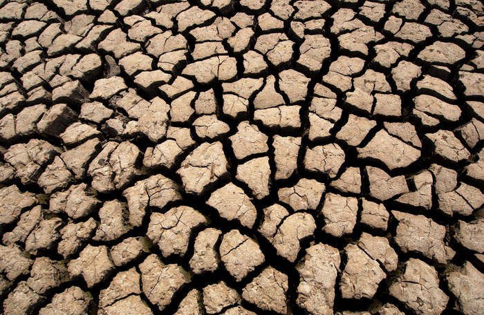 Goodreads profile picture for @drought