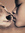 Tali | 3 comments