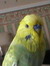 Leanne