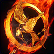 ღ ۵Mockingjayღ ۵