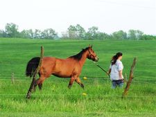 Shannon Silversmith Doud