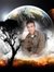 Waleed