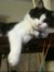 Ashlee_...