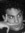 Ahmed E...