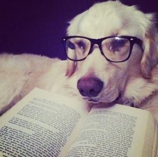 Goodreads profile picture for @yumiko