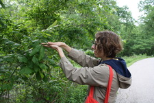 Julijumprope on StoryGraph