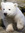 Graydon | 9 comments