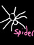 Spider ...