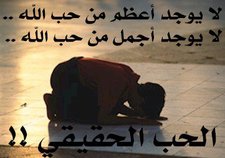 مديحه فضالى