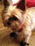 Geraldine