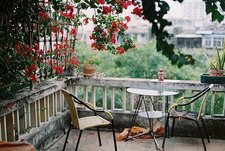 نورا المبيريك 