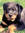 Kiara | 3 comments