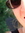 Alyssa (sonicwithap) | 3 comments