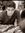 Anand