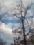Karen Hook