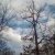 Karen Hook
