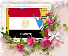 المواطن مصرى