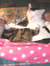 aspasiacat