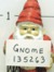 L4wngnome