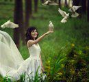 Abir