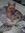 Caryn